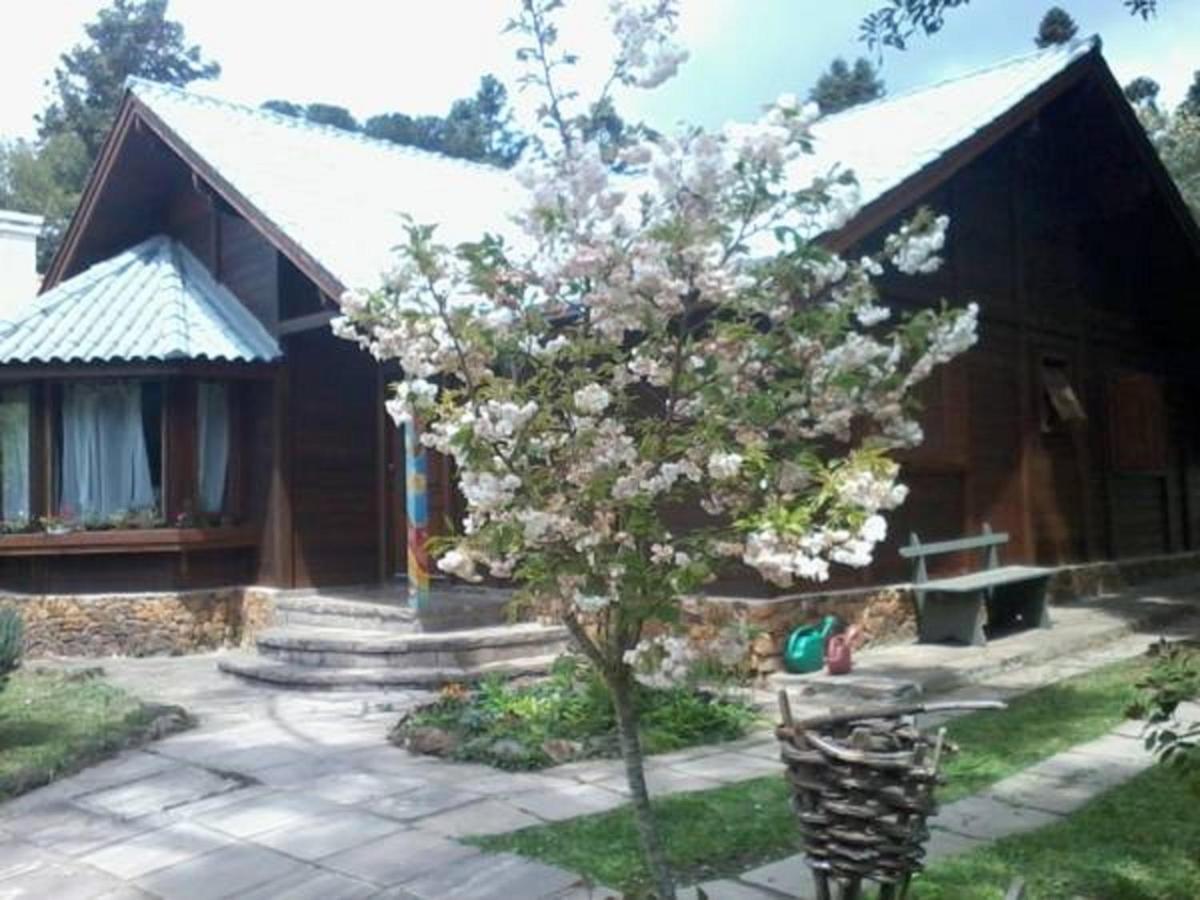 Chale Martinho Villa Gramado Dış mekan fotoğraf