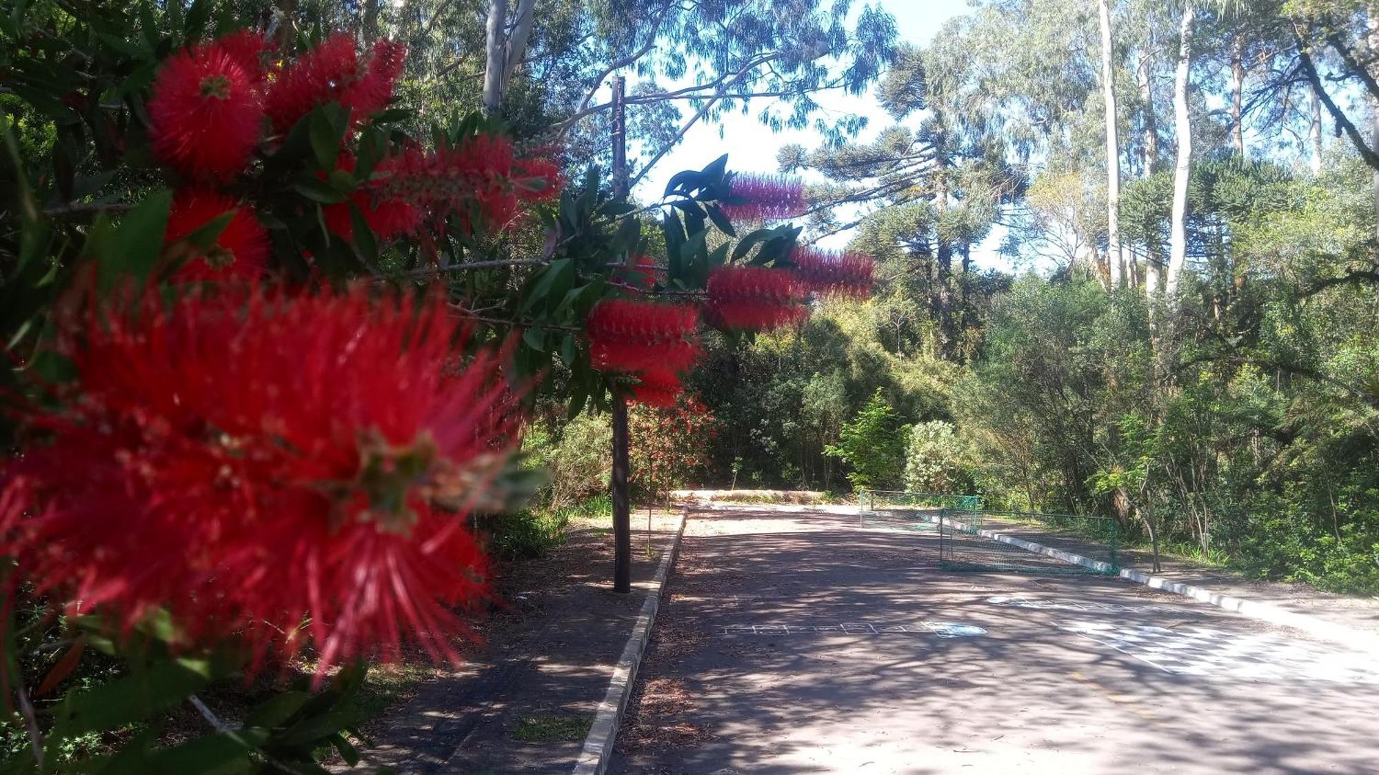 Chale Martinho Villa Gramado Dış mekan fotoğraf
