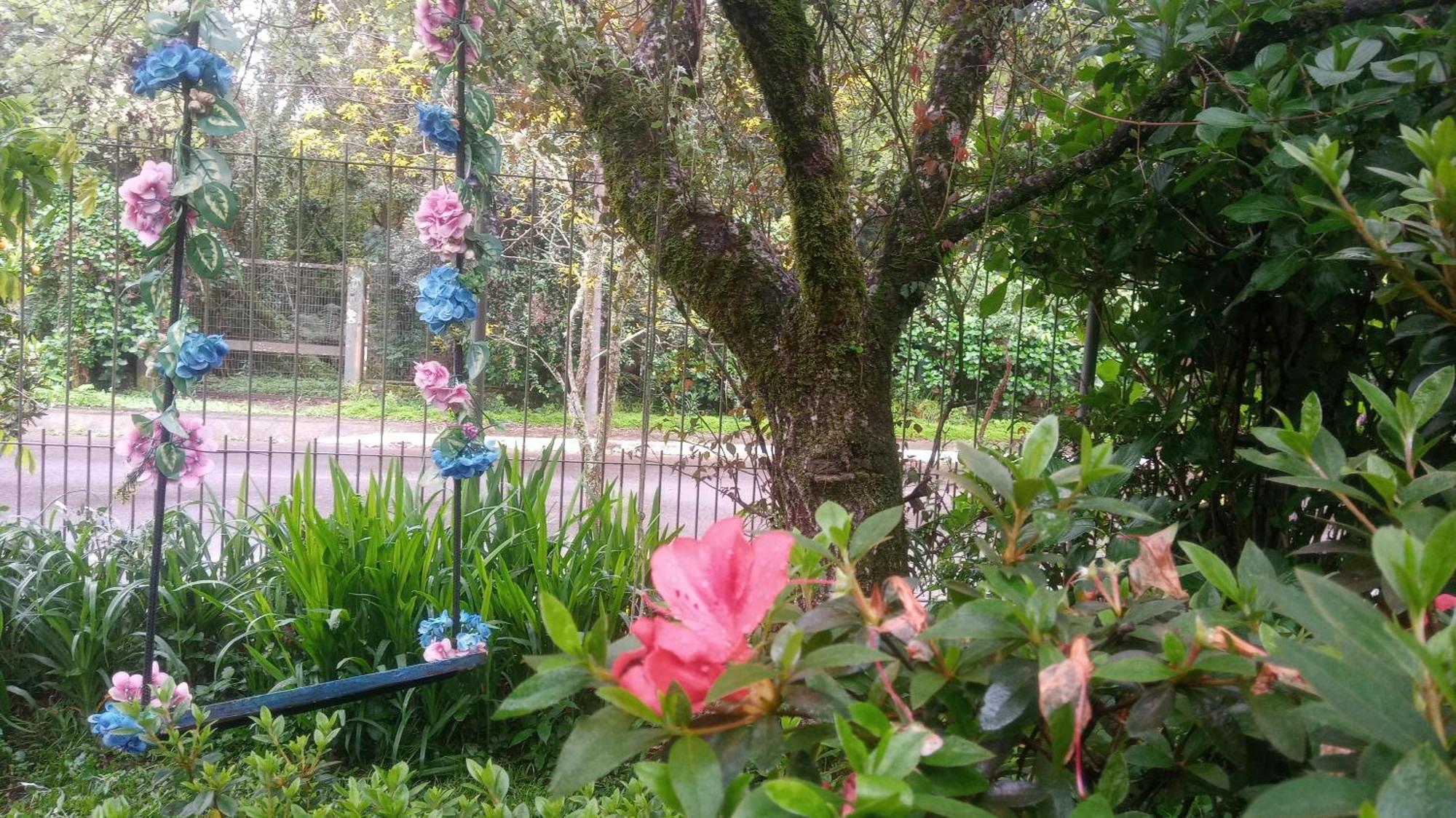 Chale Martinho Villa Gramado Dış mekan fotoğraf