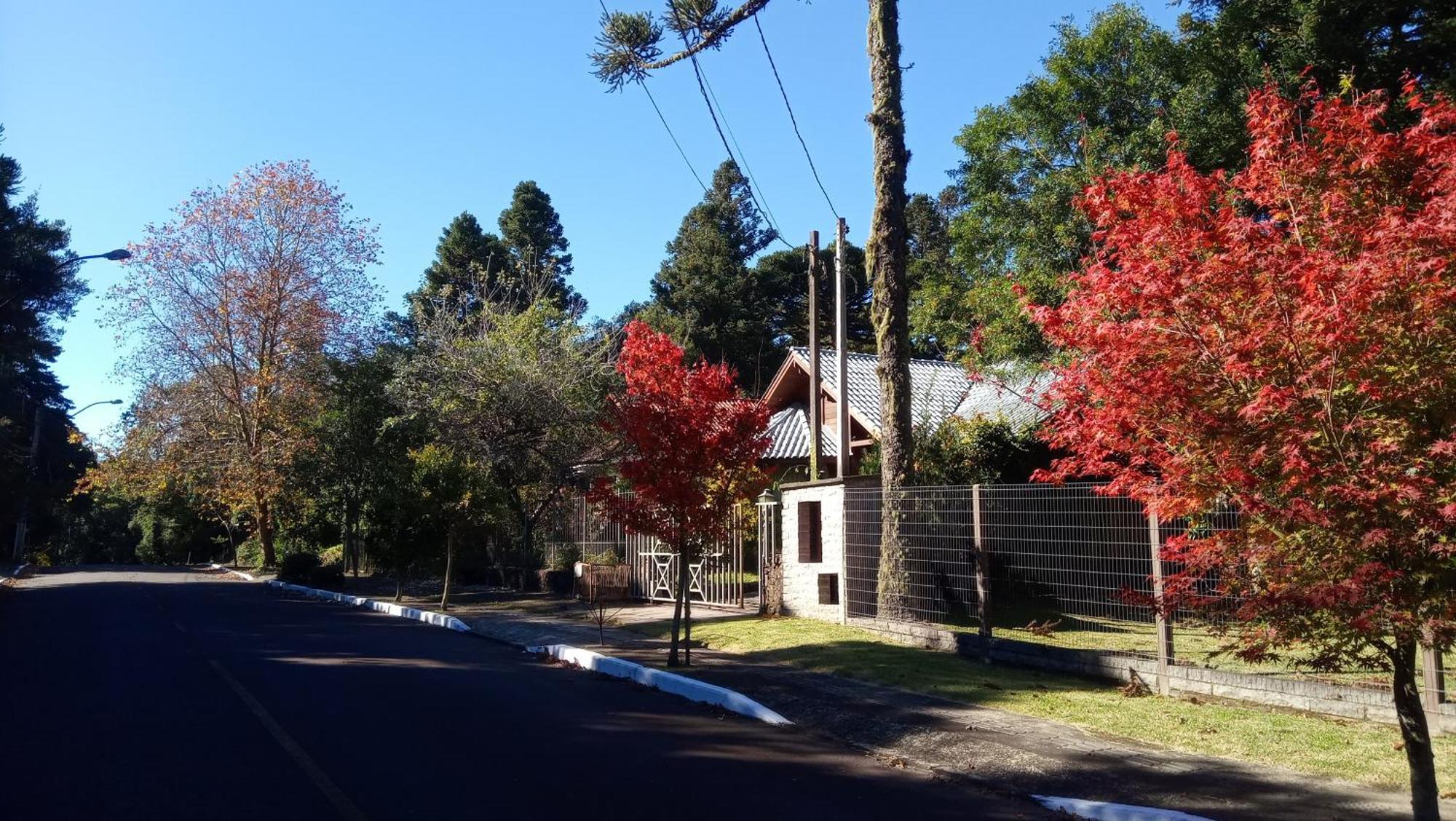 Chale Martinho Villa Gramado Dış mekan fotoğraf
